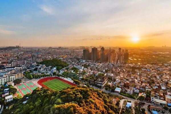 支持和服務(wù)好現(xiàn)有企業(yè)！黃圃鎮(zhèn)全力以赴促發(fā)展